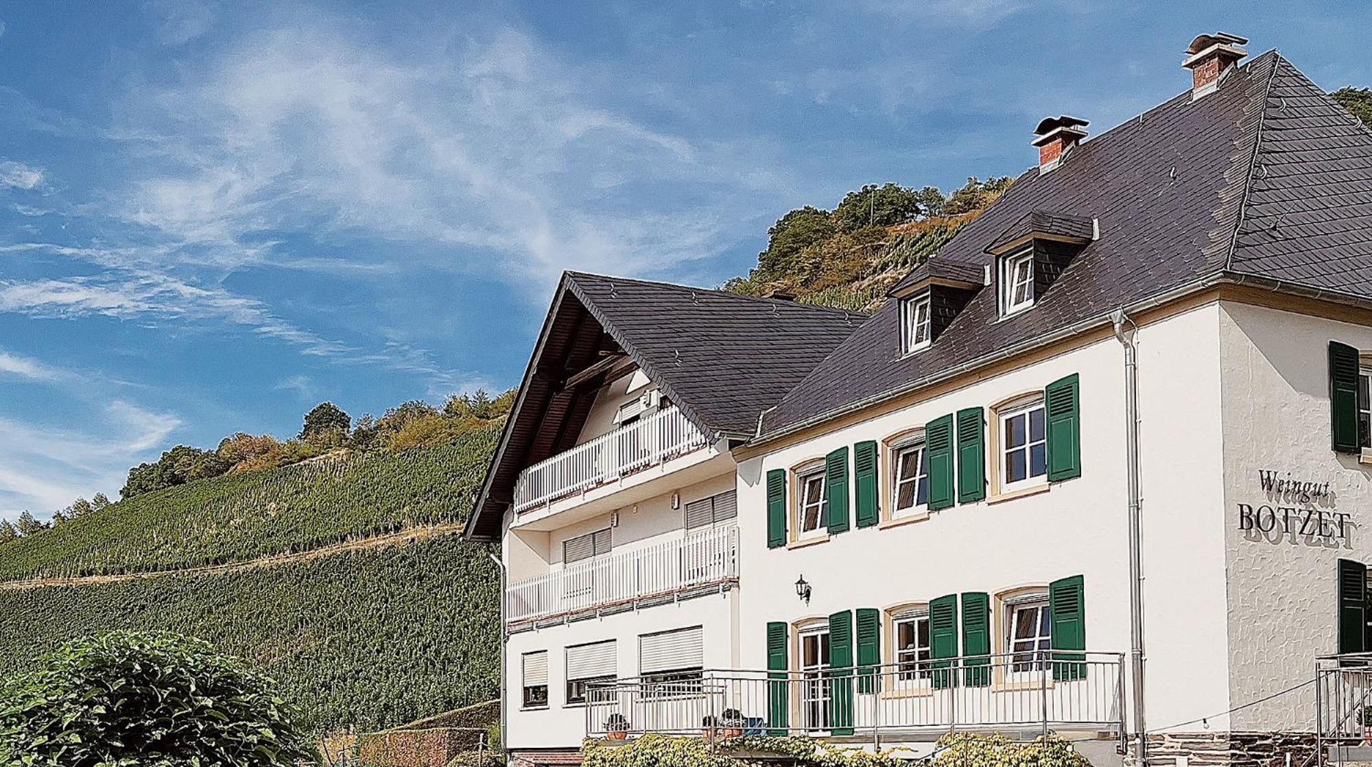 Ferienwohnung 1595 Im Weingut Botzet 매링노비안드 외부 사진